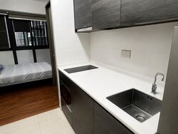 Sims Urban Oasis (D14), Condominium #557846061